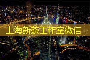 提高城市的管理效率和居民的生活质量