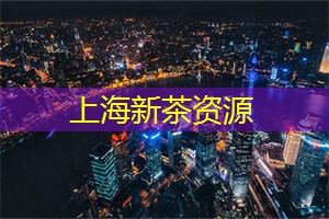 你可以看到成群结队的鸟儿在天空中展翅翱翔 你可以看到成群结队的鸟儿在天空中展翅翱翔
