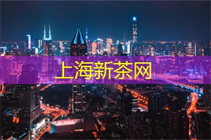 了解上海的本土音乐团队