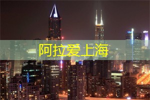 浪漫时光：在上海的夜晚
